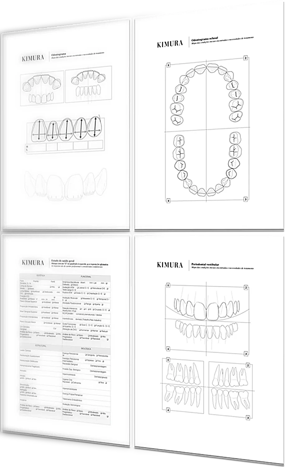 Documentos da Kimura Academy: odontogramas, ficha de saúde geral e mapa periodontal
